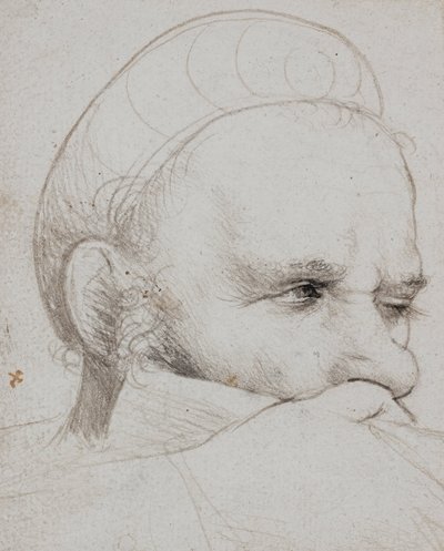 Het hoofd van een kruisboogschutter die richt door Hans Holbein the Elder